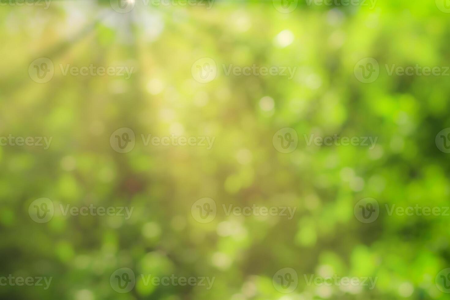 Blurred bokeh background image of bright green foliage and sunbeams in spring or summer. photo
