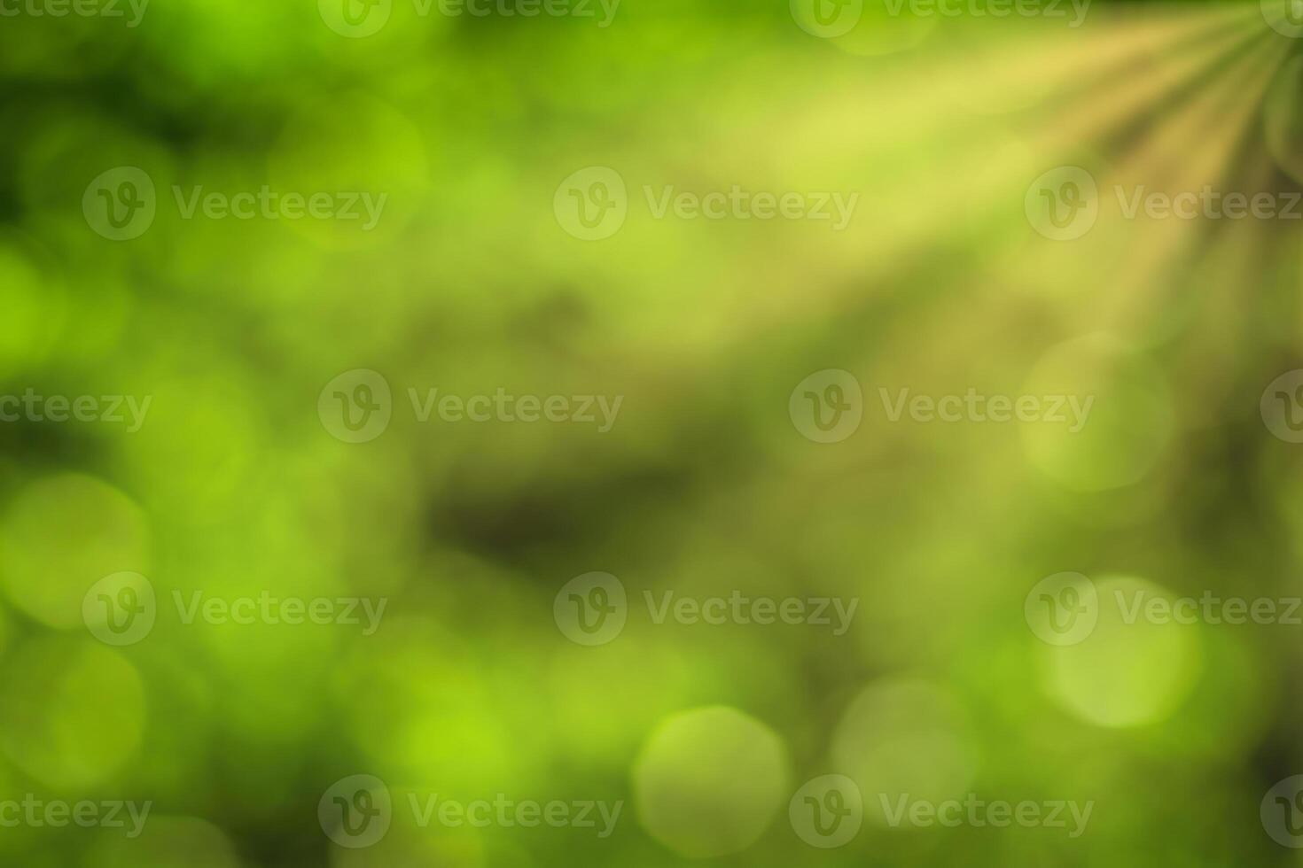 Blurred bokeh background image of bright green foliage and sunbeams in spring or summer. photo