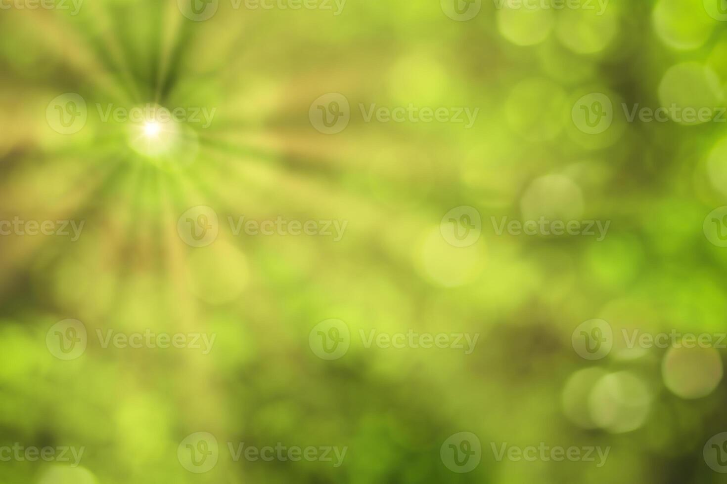 Blurred bokeh background image of bright green foliage and sunbeams in spring or summer. photo