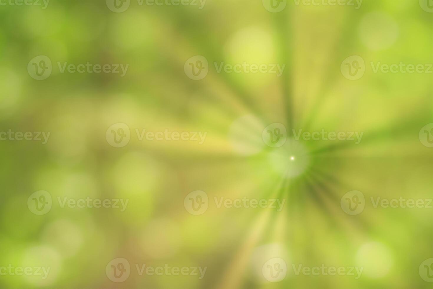 Blurred bokeh background image of bright green foliage and sunbeams in spring or summer. photo