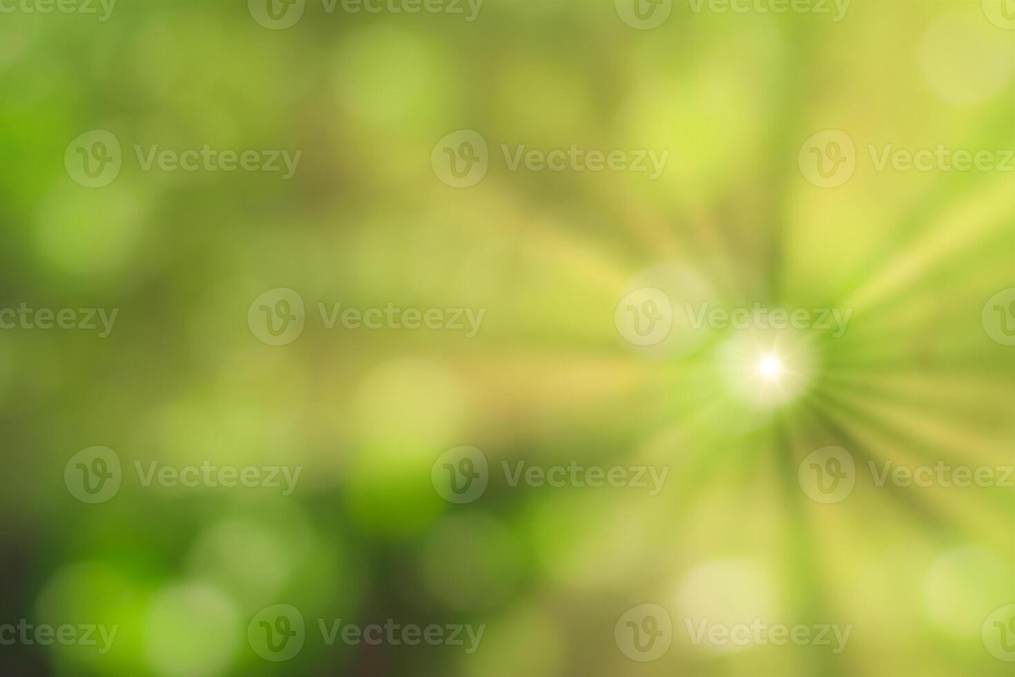 Blurred bokeh background image of bright green foliage and sunbeams in spring or summer. photo