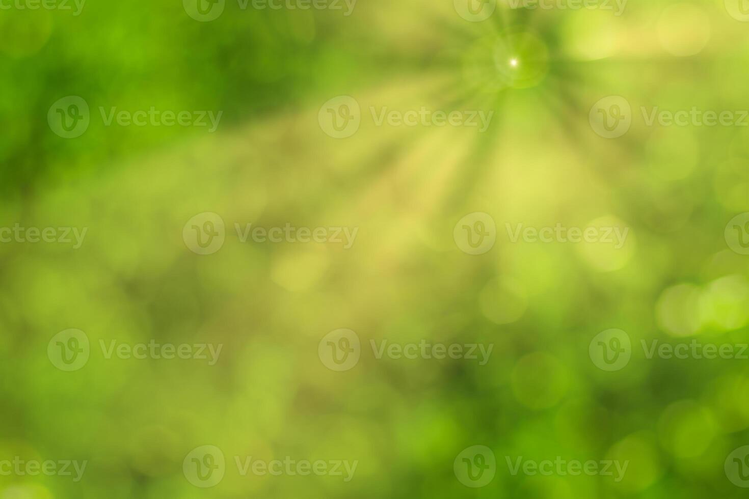 Blurred bokeh background image of bright green foliage and sunbeams in spring or summer. photo
