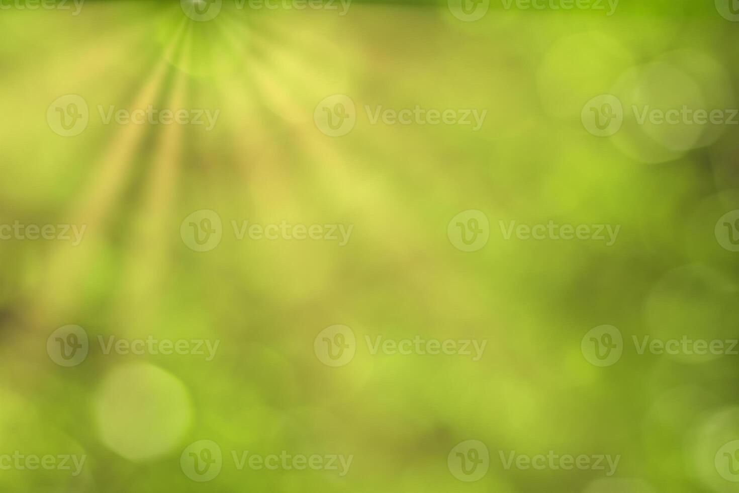 Blurred bokeh background image of bright green foliage and sunbeams in spring or summer. photo