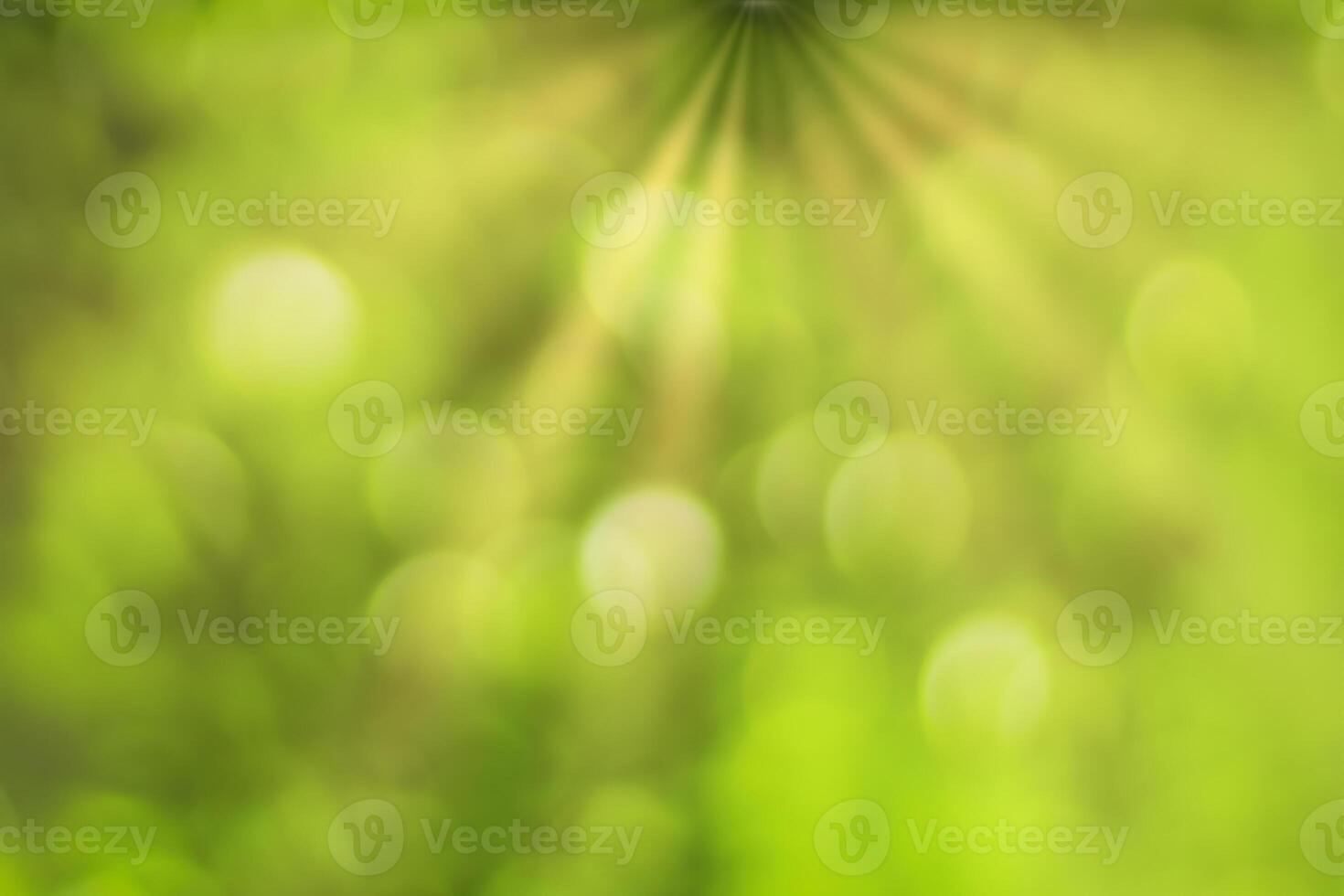 Blurred bokeh background image of bright green foliage and sunbeams in spring or summer. photo