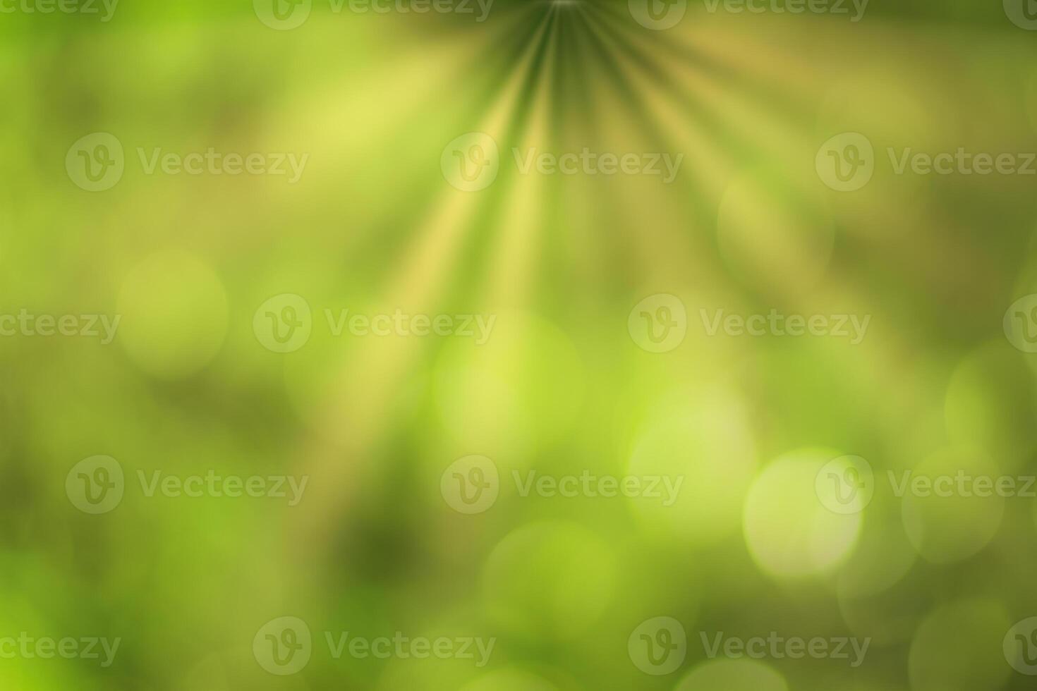 Blurred bokeh background image of bright green foliage and sunbeams in spring or summer. photo