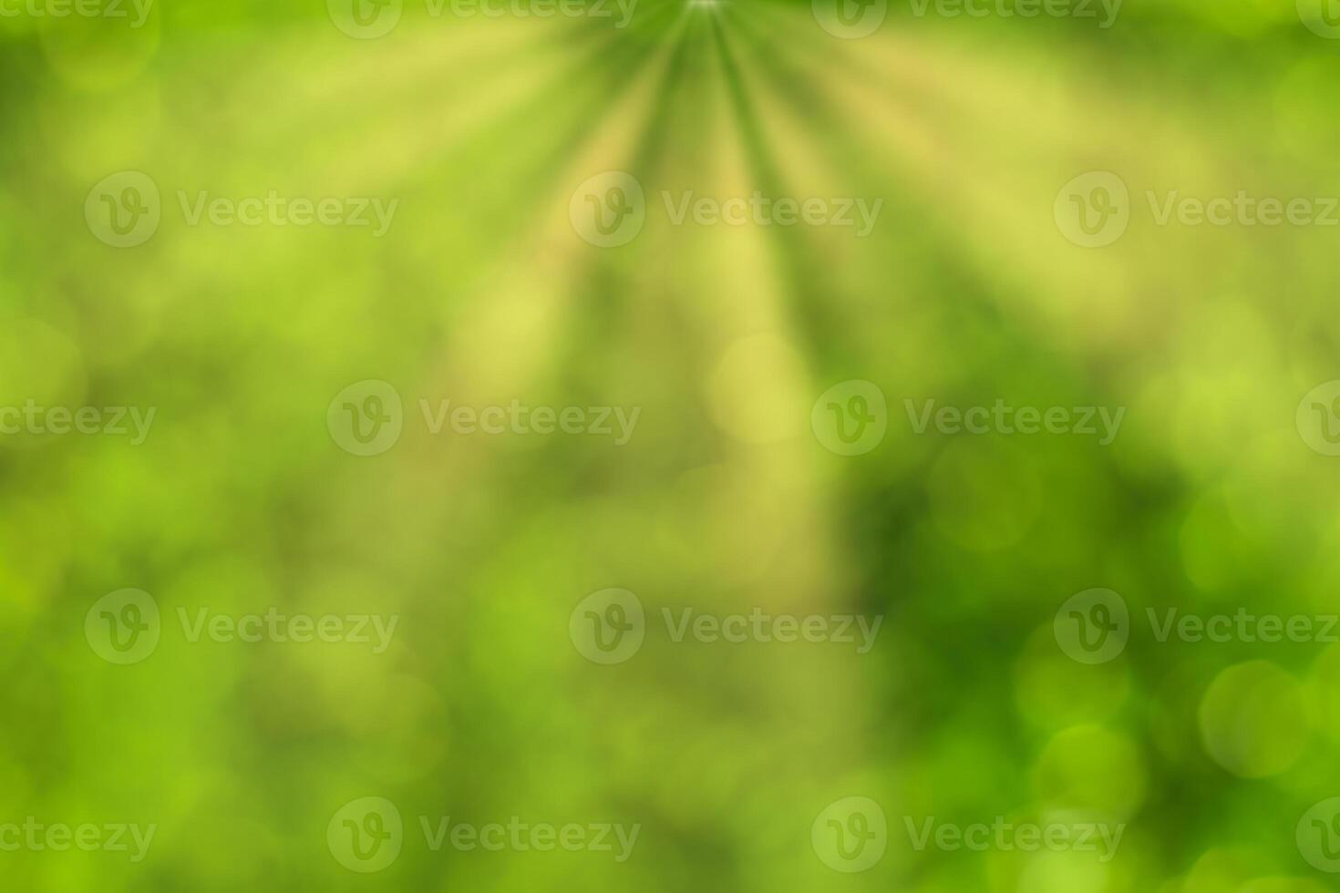 Blurred bokeh background image of bright green foliage and sunbeams in spring or summer. photo