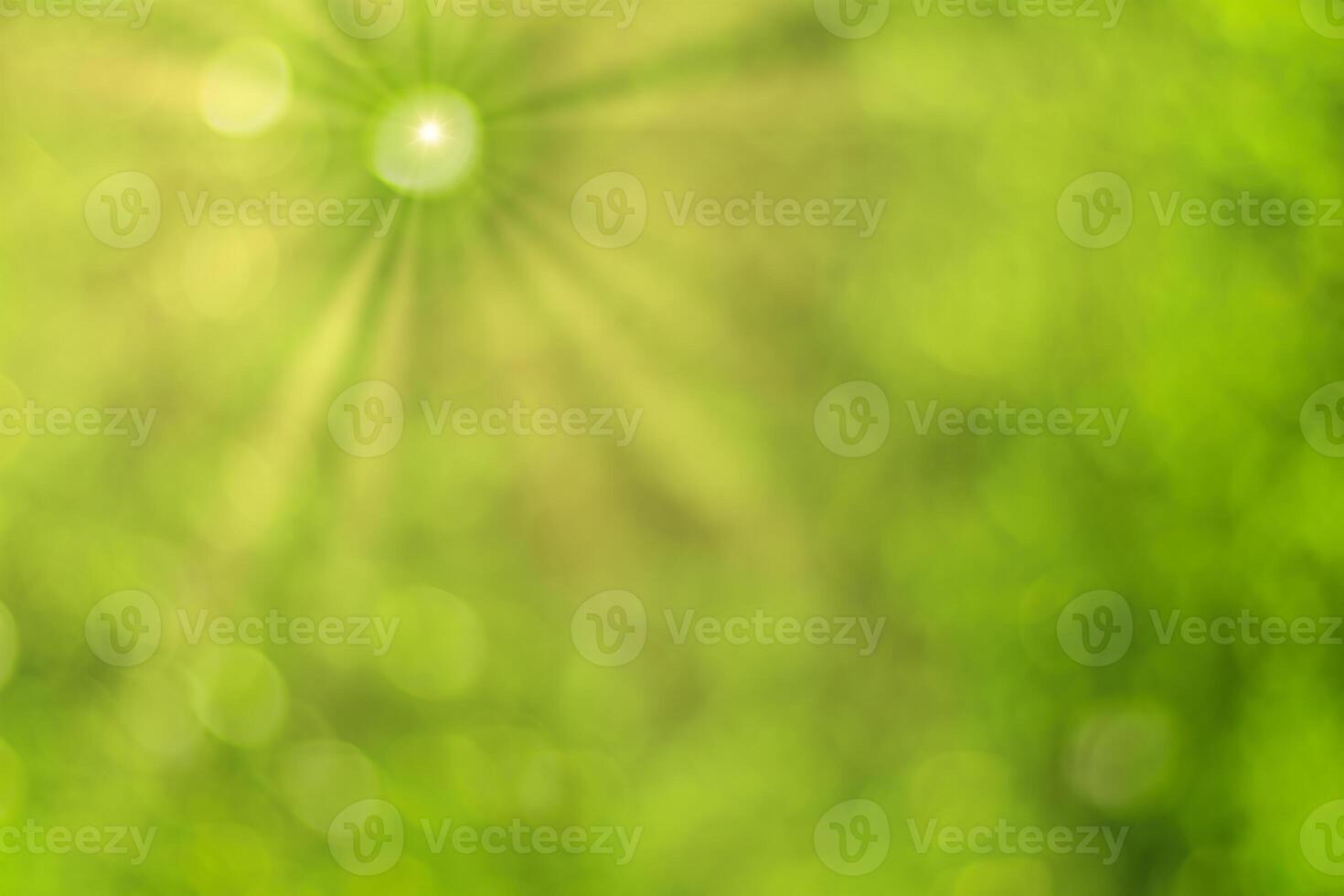 Blurred bokeh background image of bright green foliage and sunbeams in spring or summer. photo