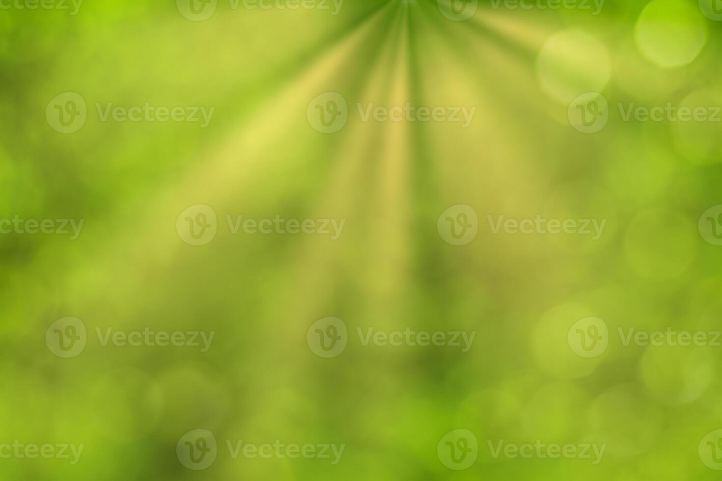 Blurred bokeh background image of bright green foliage and sunbeams in spring or summer. photo