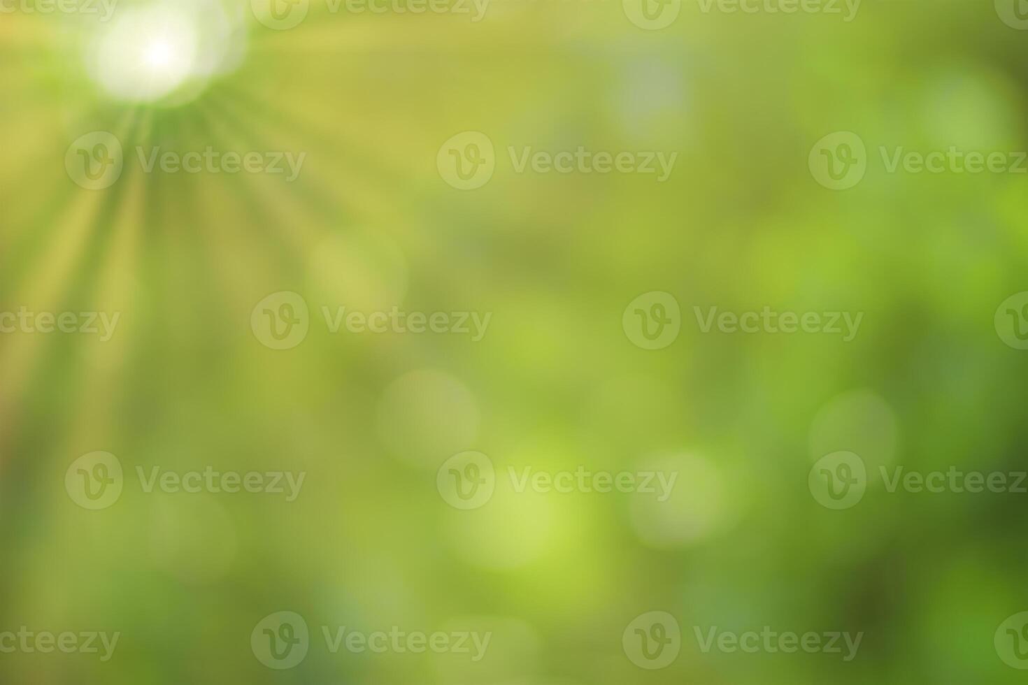 Blurred bokeh background image of bright green foliage and sunbeams in spring or summer. photo