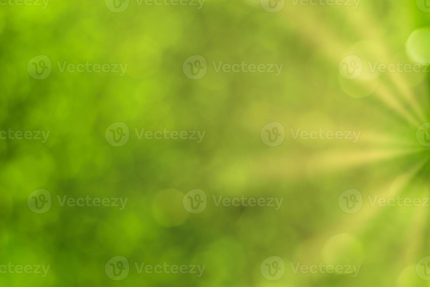 Blurred bokeh background image of bright green foliage and sunbeams in spring or summer. photo