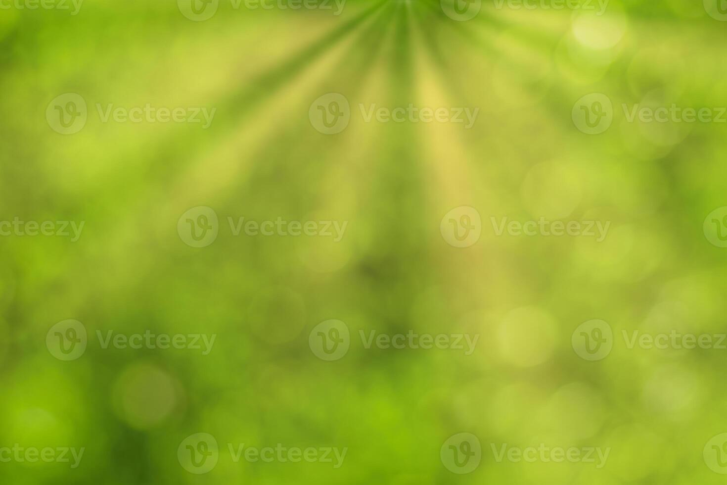 Blurred bokeh background image of bright green foliage and sunbeams in spring or summer. photo