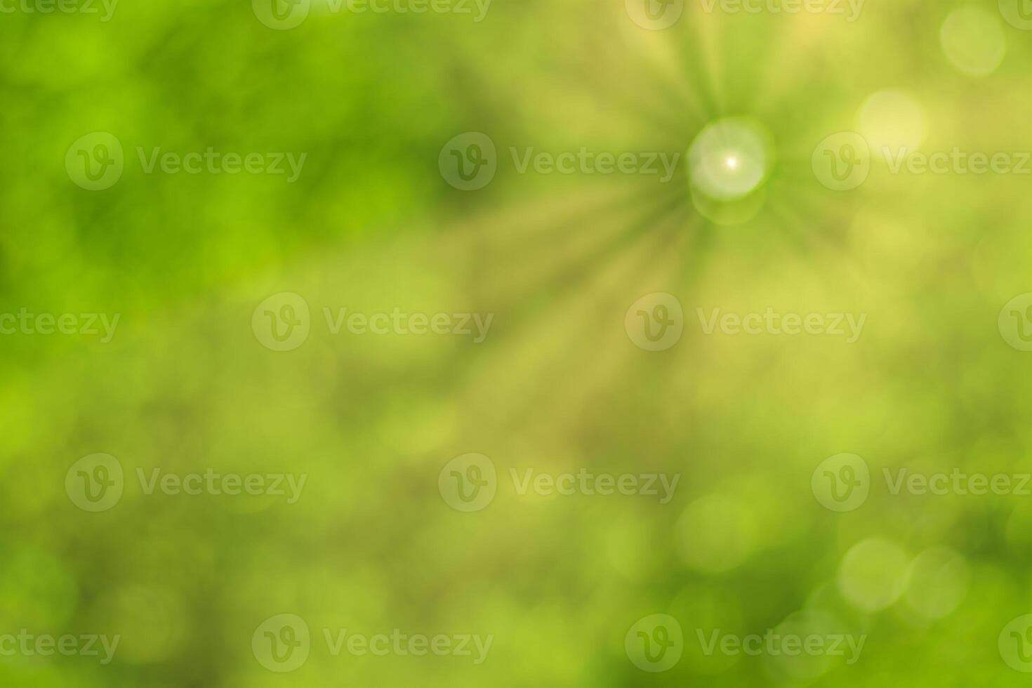 Blurred bokeh background image of bright green foliage and sunbeams in spring or summer. photo