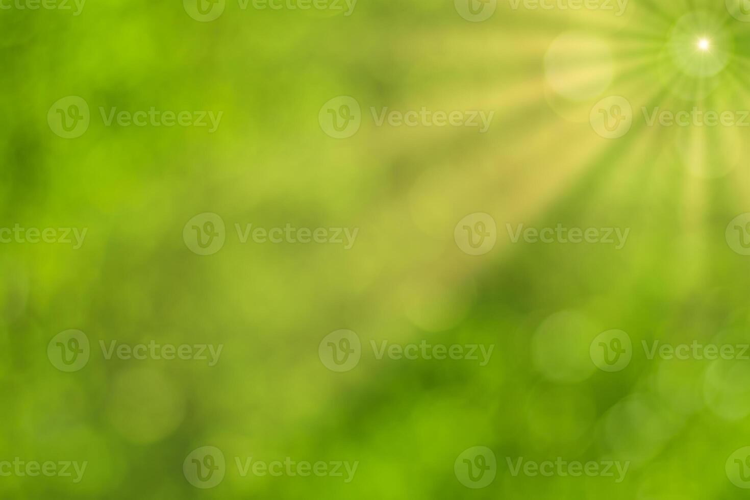 Blurred bokeh background image of bright green foliage and sunbeams in spring or summer. photo