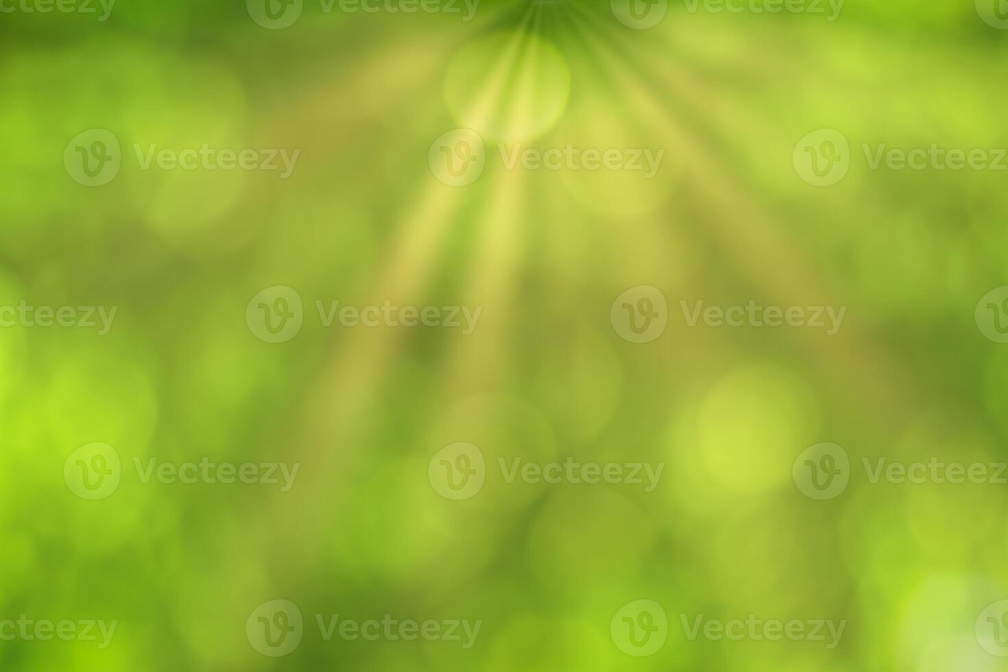 Blurred bokeh background image of bright green foliage and sunbeams in spring or summer. photo