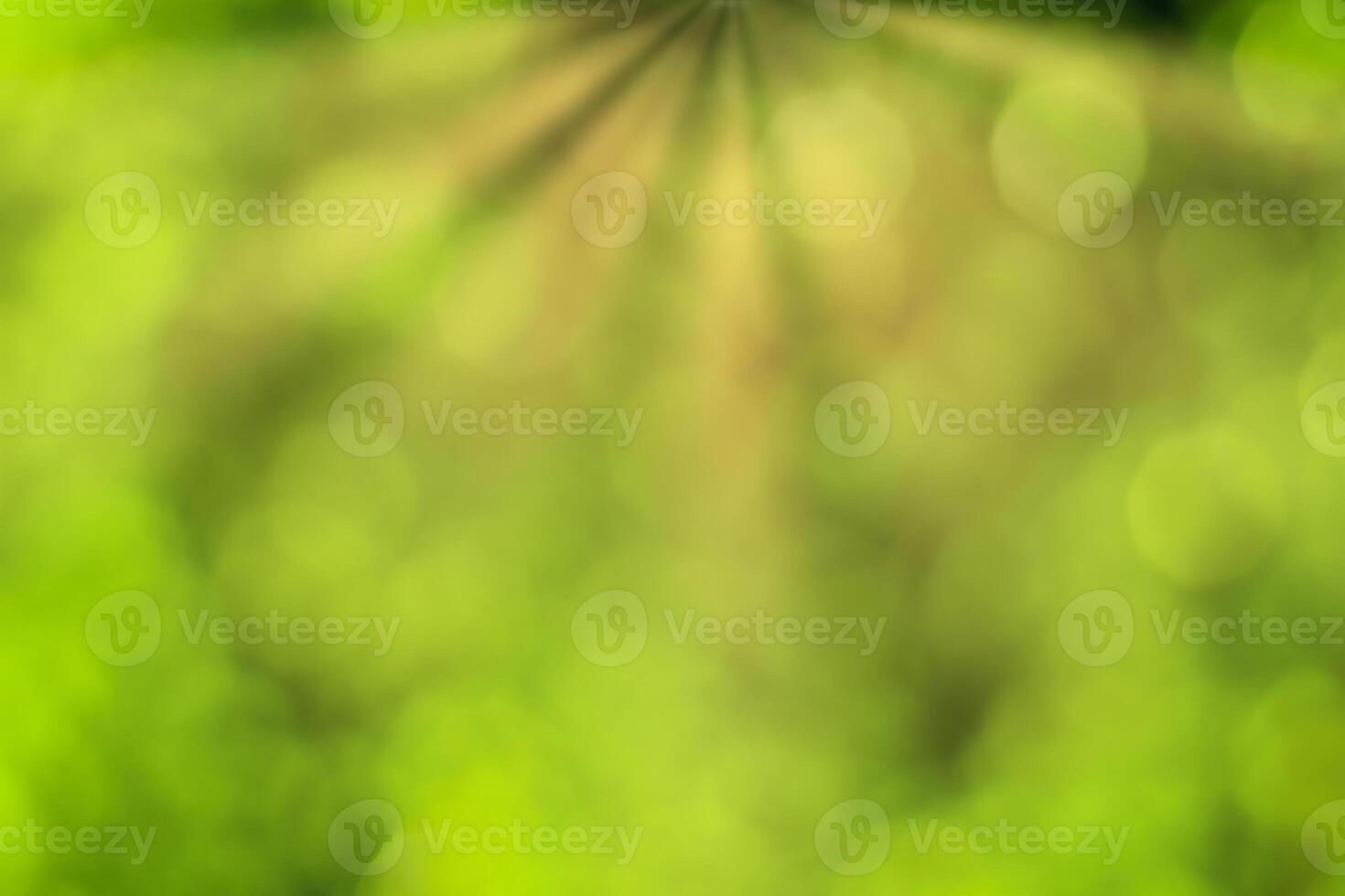 Blurred bokeh background image of bright green foliage and sunbeams in spring or summer. photo