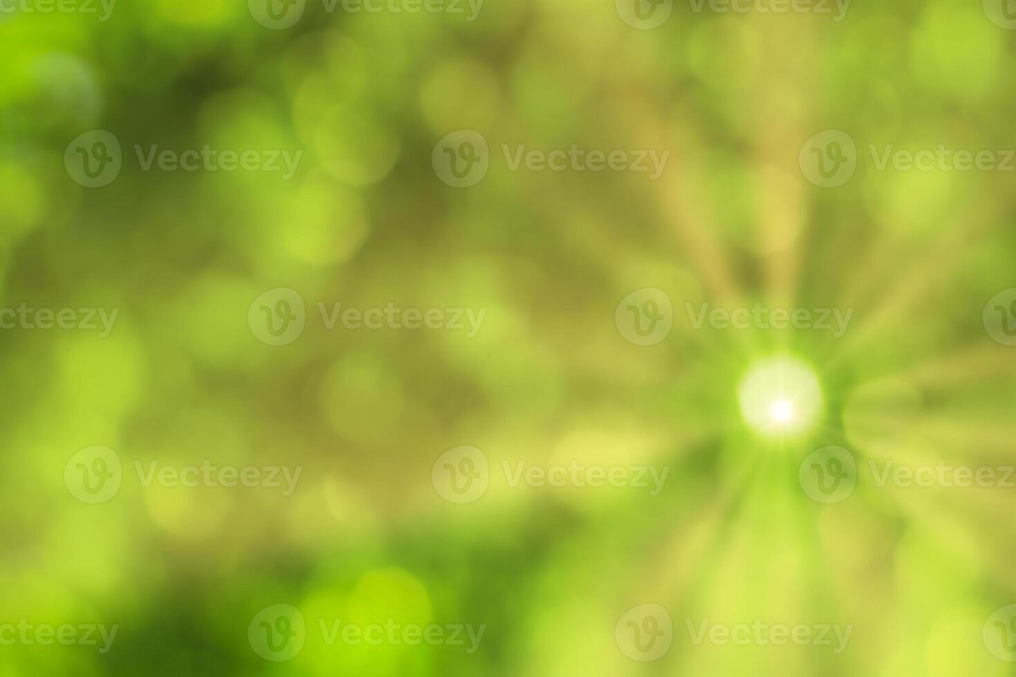 Blurred bokeh background image of bright green foliage and sunbeams in spring or summer. photo