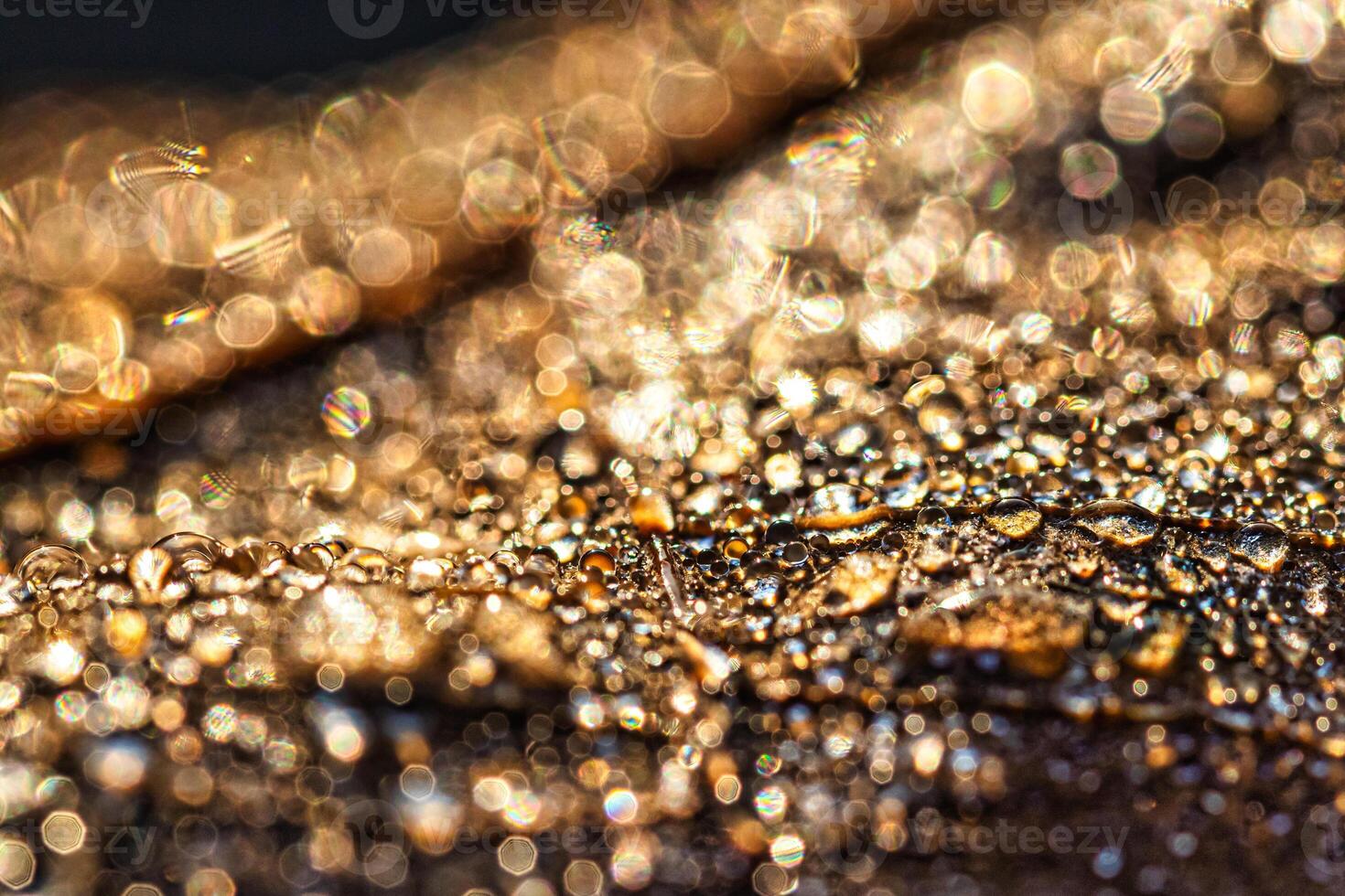 Dew drops on an autumn fallen leaf, shimmering in the sun, shot in close-up with bokeh. Abstract macro background. photo