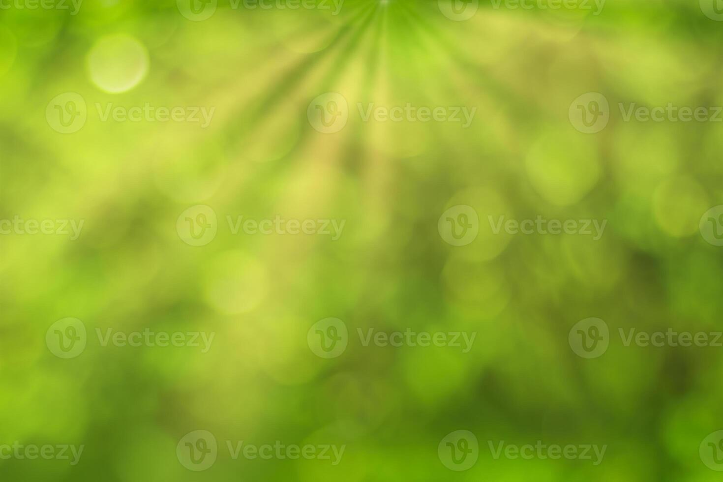 Blurred bokeh background image of bright green foliage and sunbeams in spring or summer. photo