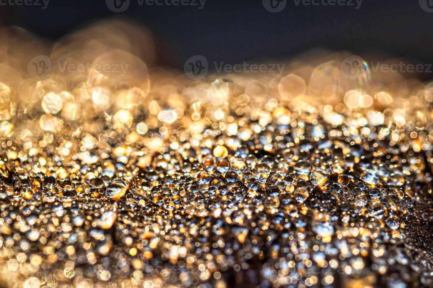 Dew drops on an autumn fallen leaf, shimmering in the sun, shot in close-up with bokeh. Abstract macro background. photo