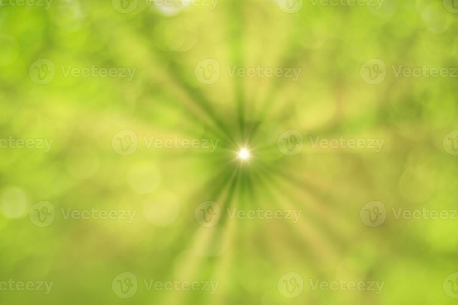 Blurred bokeh background image of bright green foliage and sunbeams in spring or summer. photo