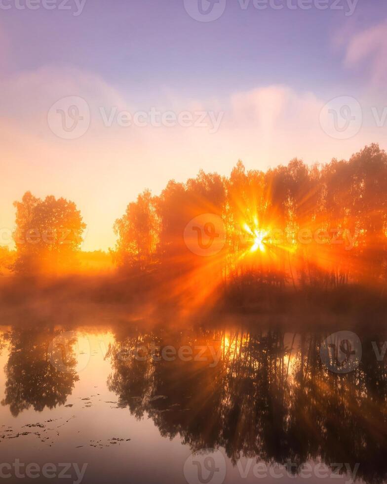 Misty sunrise on the pond in the autumn morning. Trees with rays of the sun cutting through the branches, reflected in the water. photo