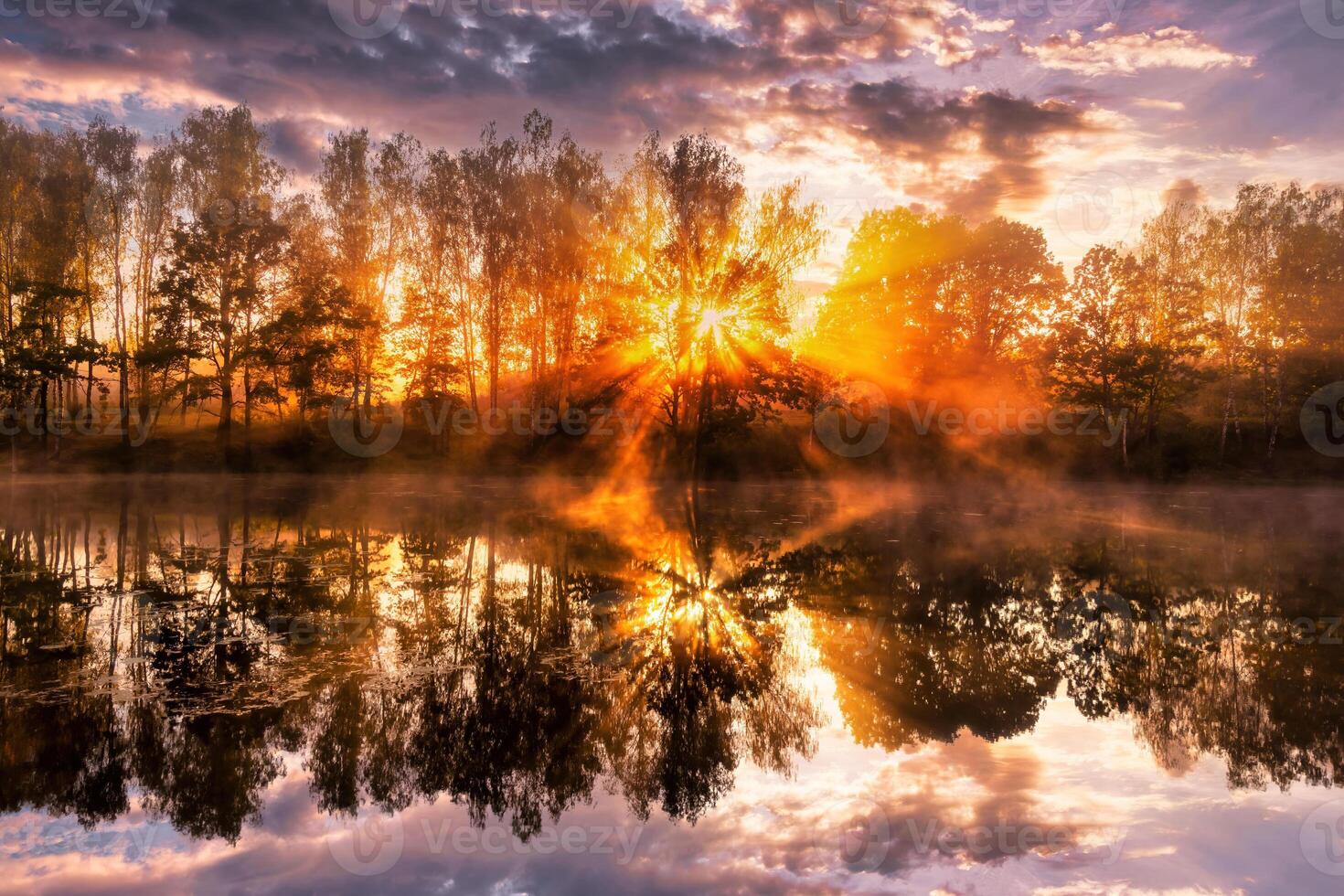Misty sunrise on the pond in the autumn morning. Trees with rays of the sun cutting through the branches, reflected in the water. photo