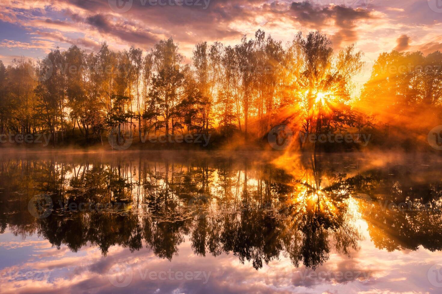 Misty sunrise on the pond in the autumn morning. Trees with rays of the sun cutting through the branches, reflected in the water. photo