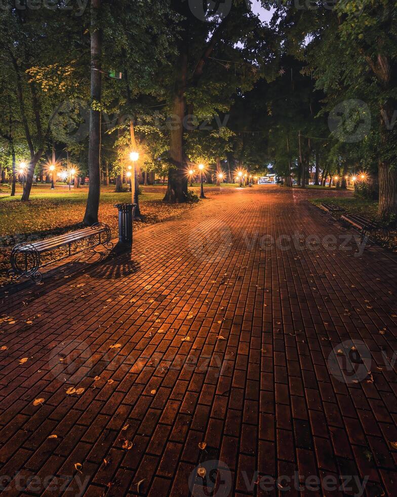 A night park lit by lanterns with a stone pavement, trees, fallen leaves and benches in early autumn. photo