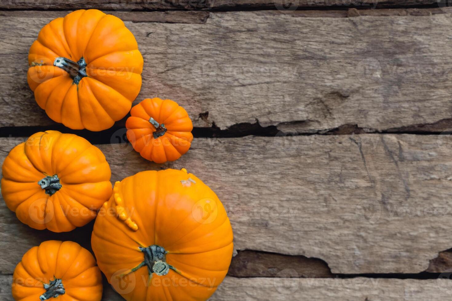 The Enchanting Beauty of Pumpkins A Celebration of Vibrant Colors and Autumnal Charm Capturing the Essence of Harvest Season in Every Curve and Contour photo