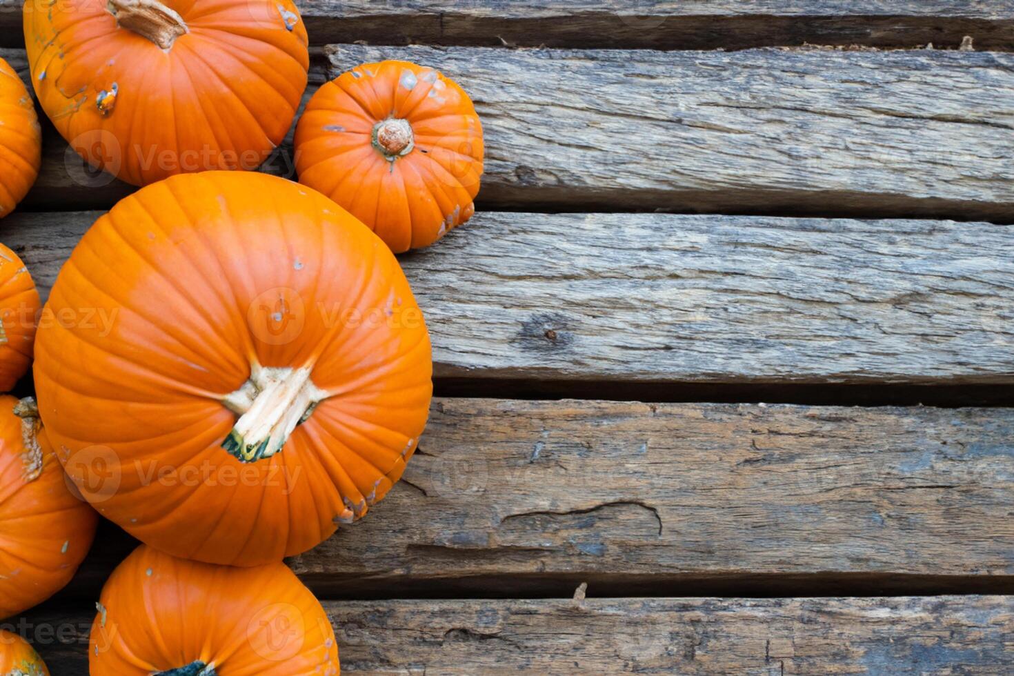 The Enchanting Beauty of Pumpkins A Celebration of Vibrant Colors and Autumnal Charm Capturing the Essence of Harvest Season in Every Curve and Contour photo