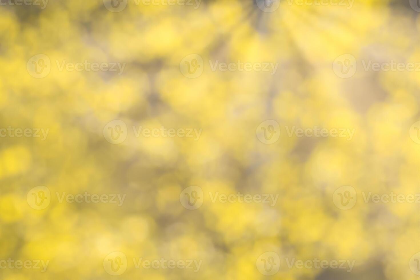 Blurred bokeh background image of bright yellow foliage and sunbeams in autumn. photo