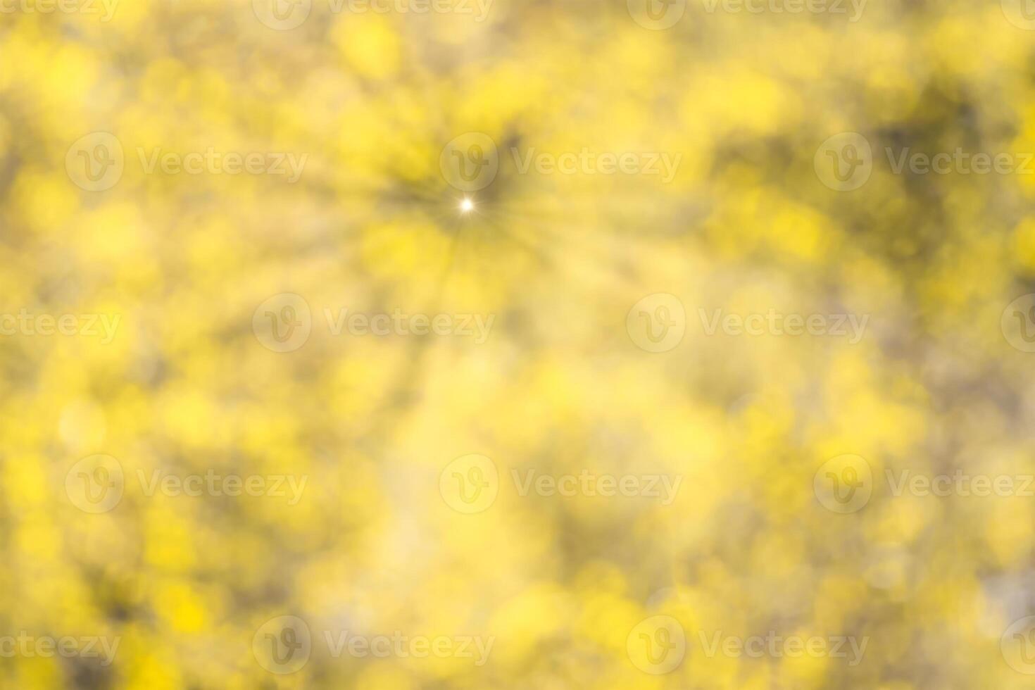 Blurred bokeh background image of bright yellow foliage and sunbeams in autumn. photo