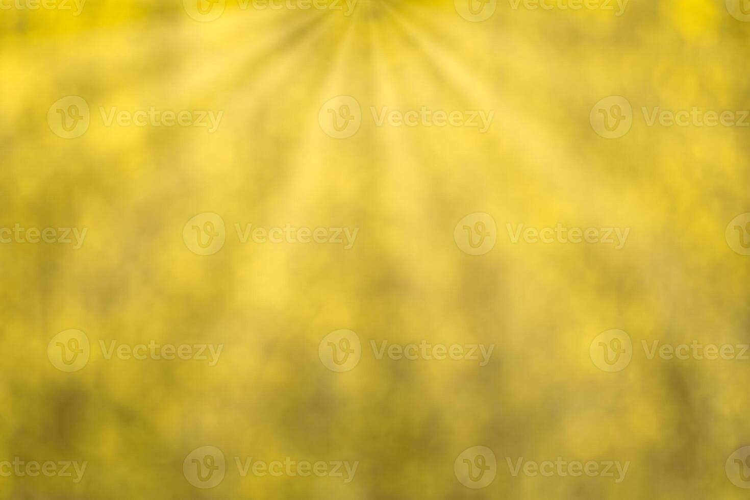 Blurred bokeh background image of bright yellow foliage and sunbeams in autumn. photo