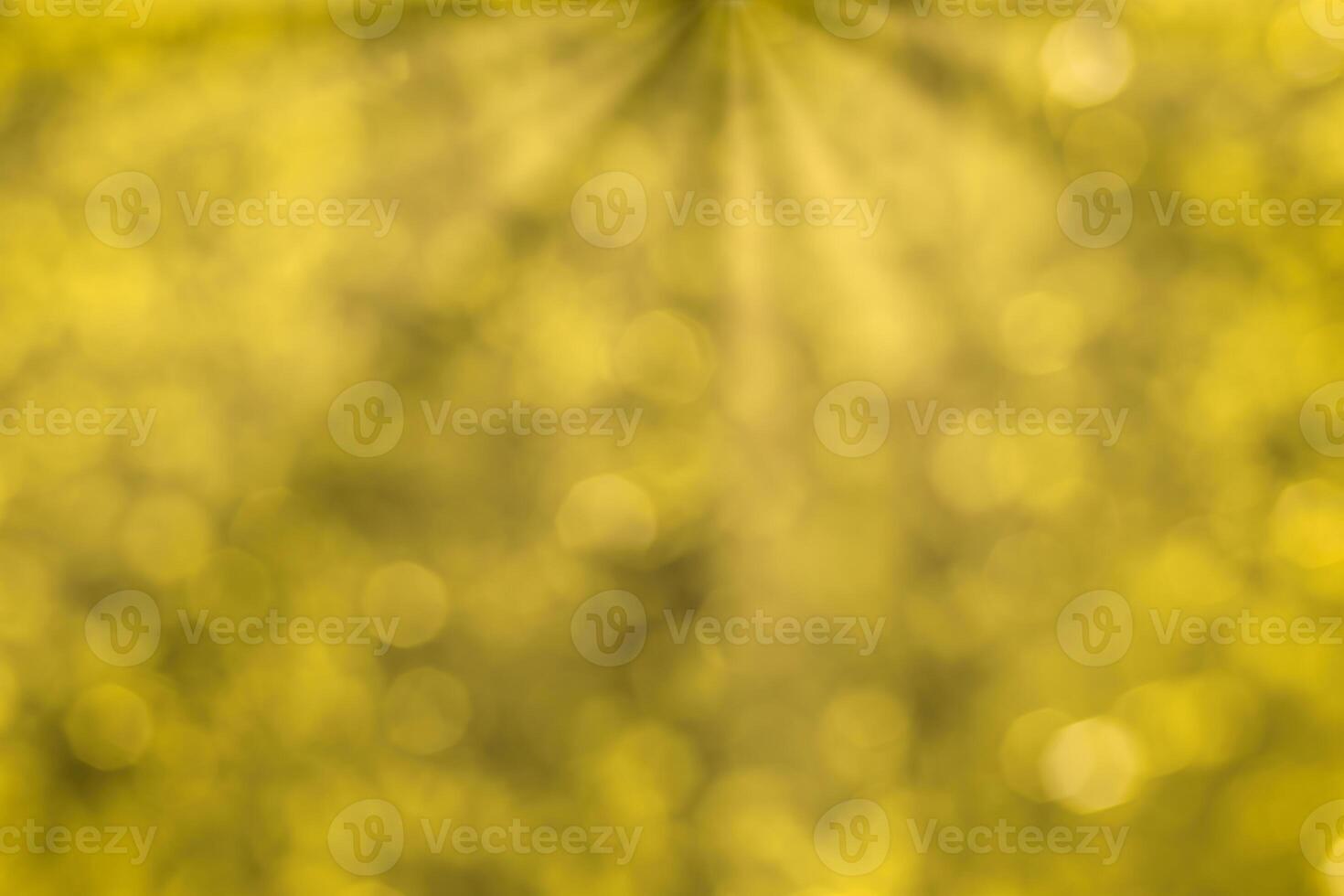 Blurred bokeh background image of bright yellow foliage and sunbeams in autumn. photo