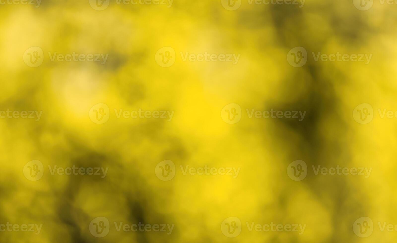 Blurred bokeh background image of bright yellow foliage in golden autumn. photo