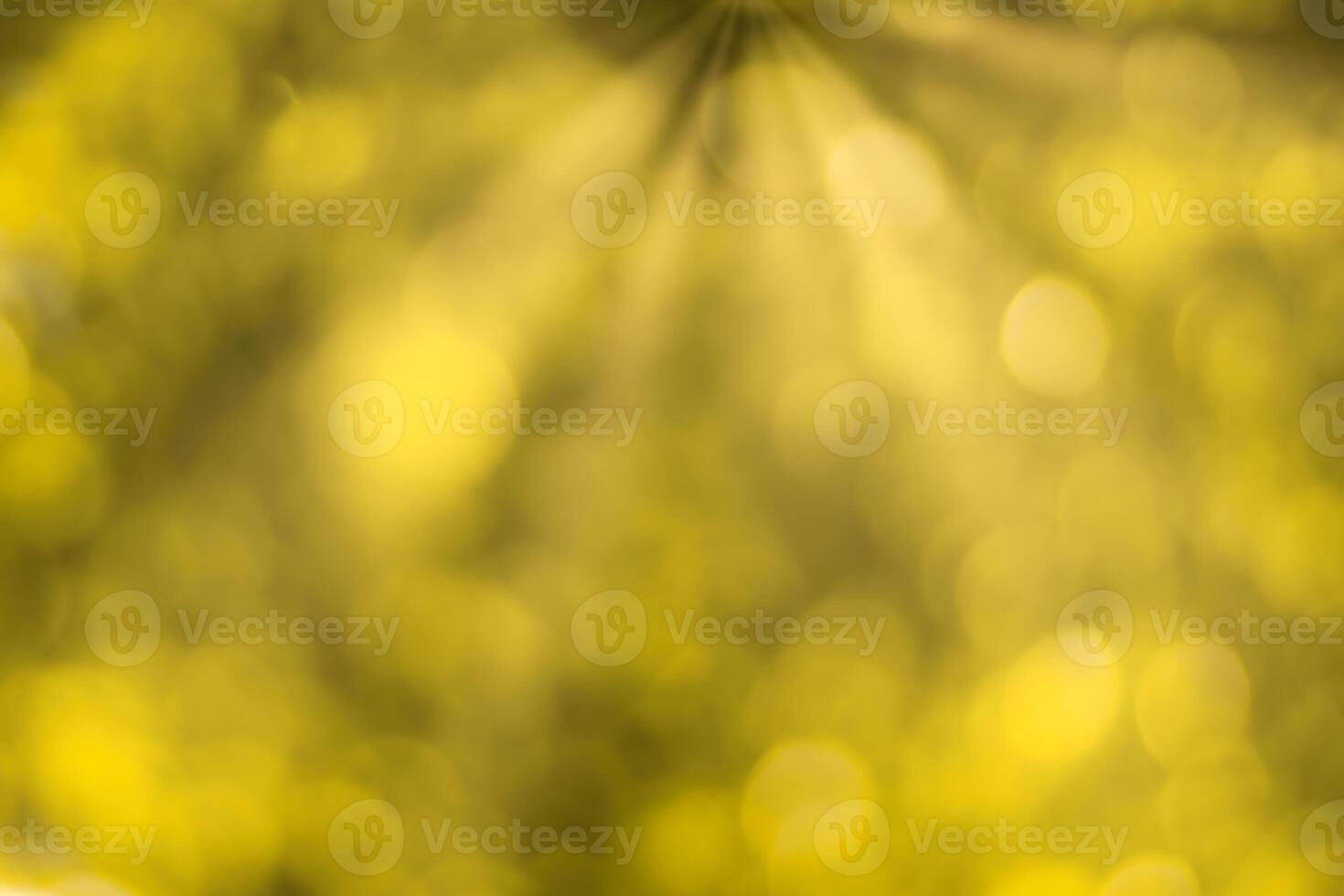 Blurred bokeh background image of bright yellow foliage and sunbeams in autumn. photo