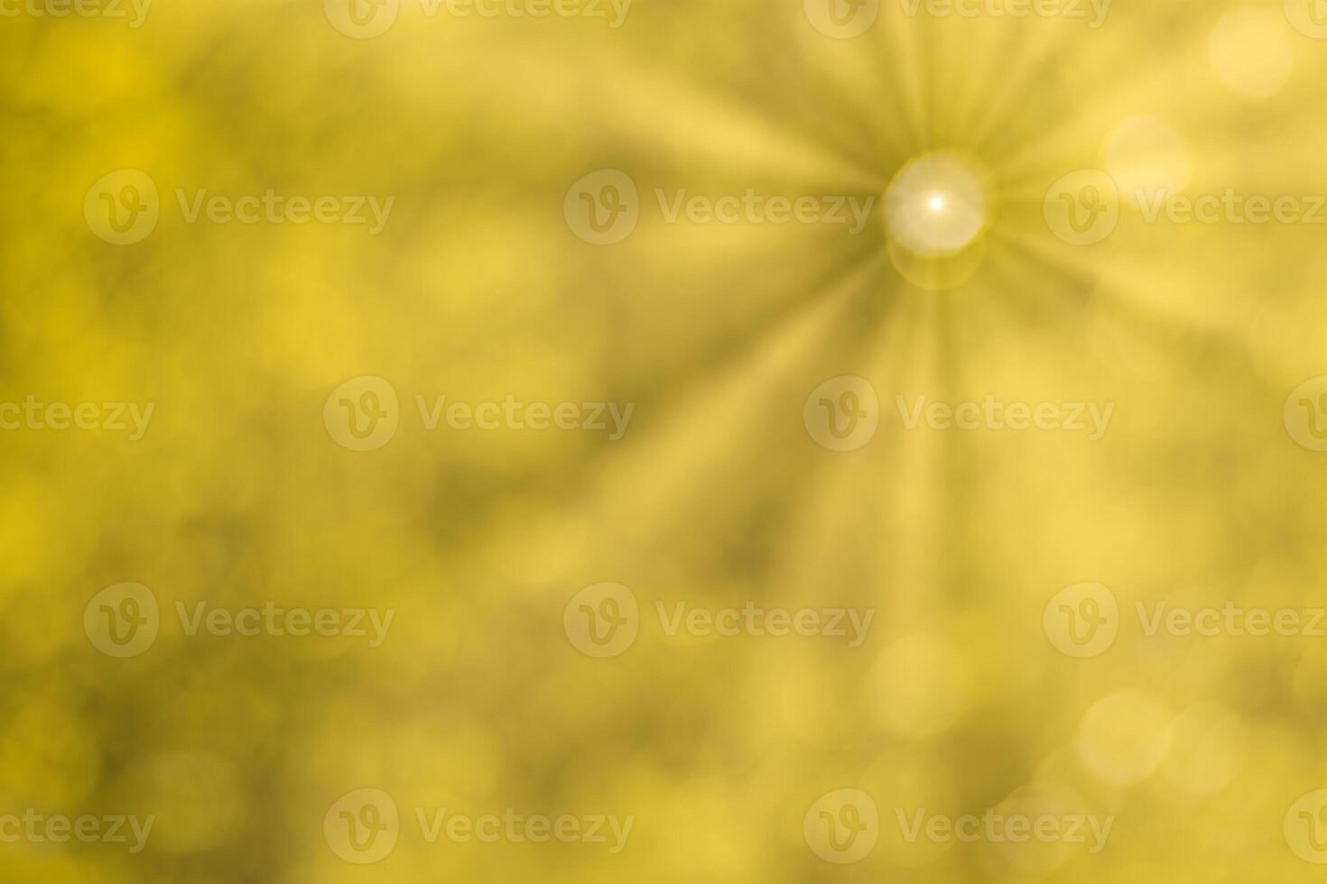 Blurred bokeh background image of bright yellow foliage and sunbeams in autumn. photo