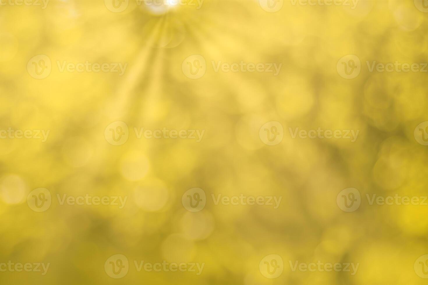 Blurred bokeh background image of bright yellow foliage and sunbeams in autumn. photo