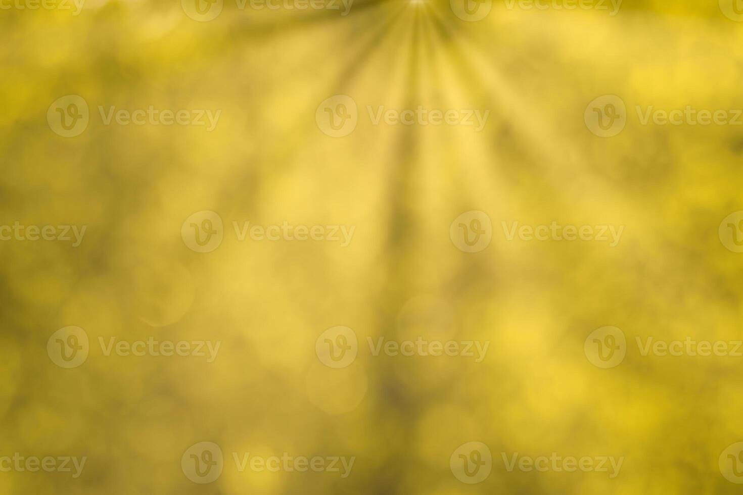 Blurred bokeh background image of bright yellow foliage and sunbeams in autumn. photo