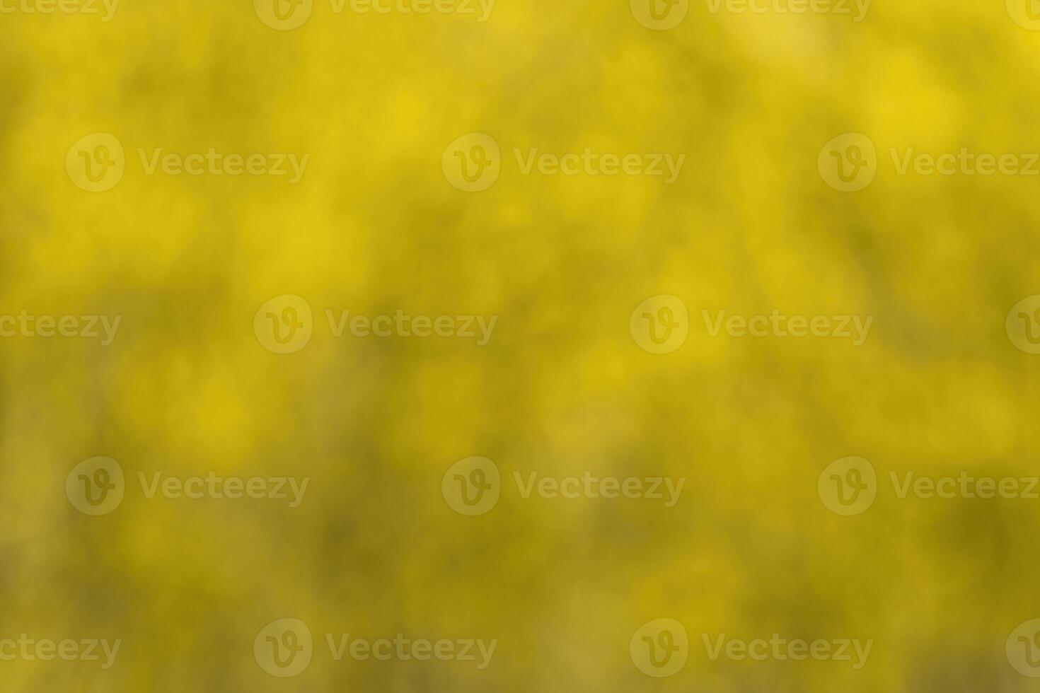 Blurred bokeh background image of bright yellow foliage in golden autumn. photo