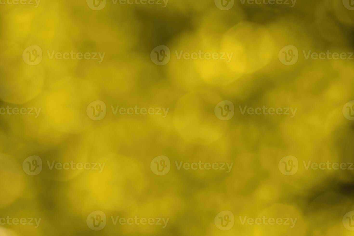 Blurred bokeh background image of bright yellow foliage in golden autumn. photo