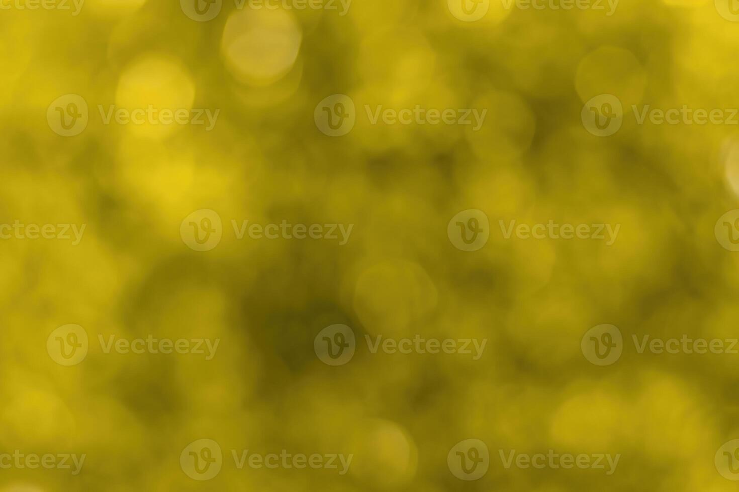 Blurred bokeh background image of bright yellow foliage in golden autumn. photo
