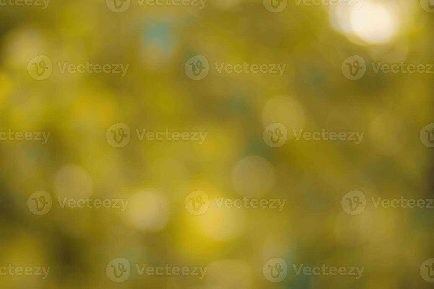 Blurred bokeh background image of bright yellow foliage in golden autumn. photo