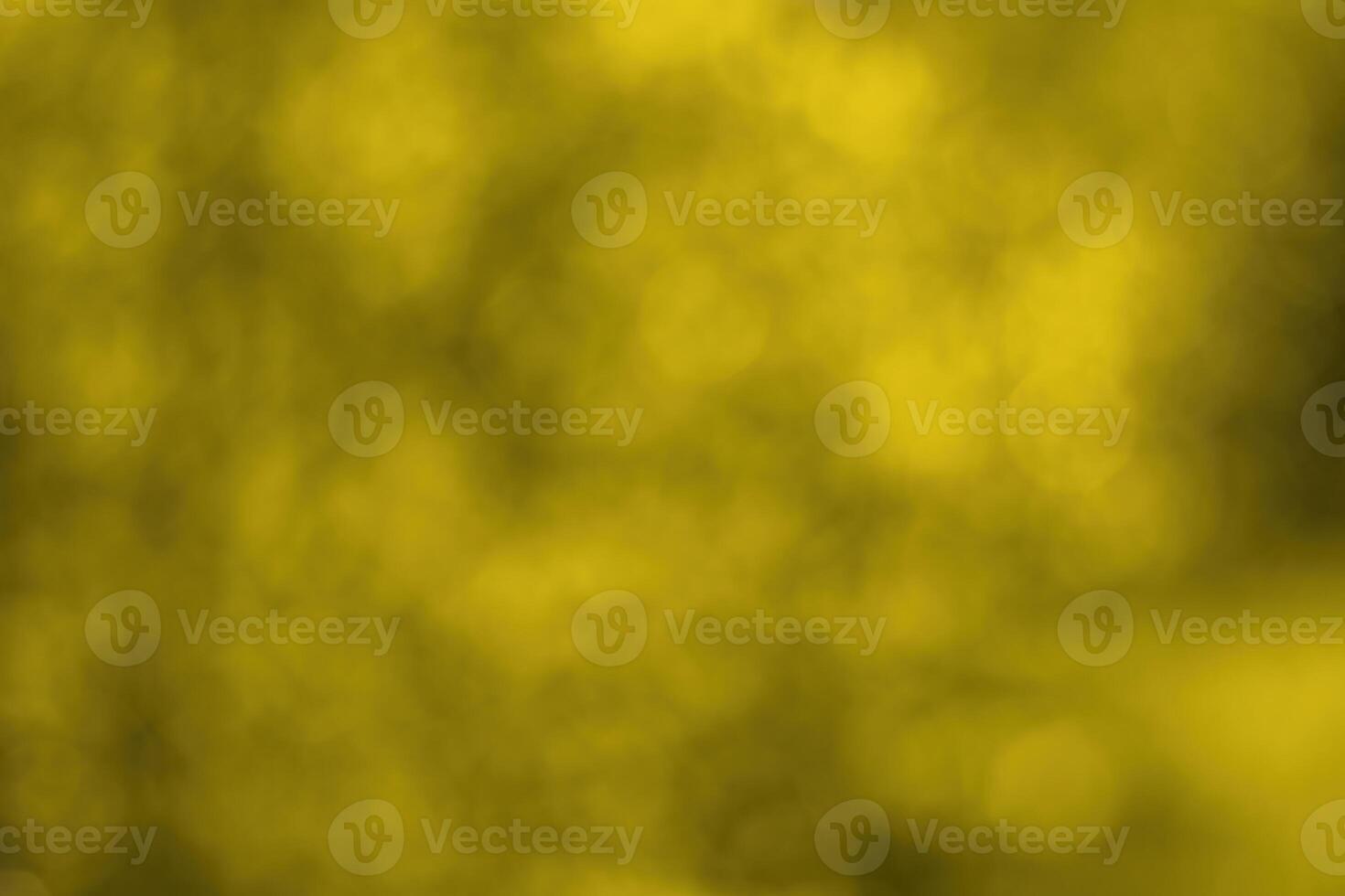 Blurred bokeh background image of bright yellow foliage in golden autumn. photo