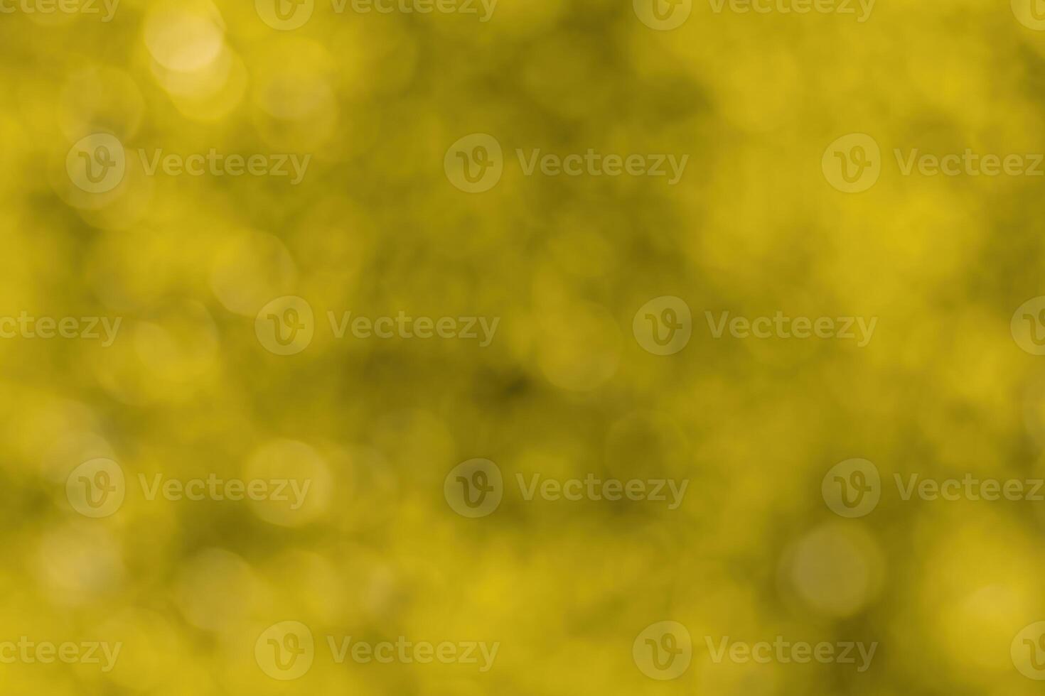 Blurred bokeh background image of bright yellow foliage in golden autumn. photo