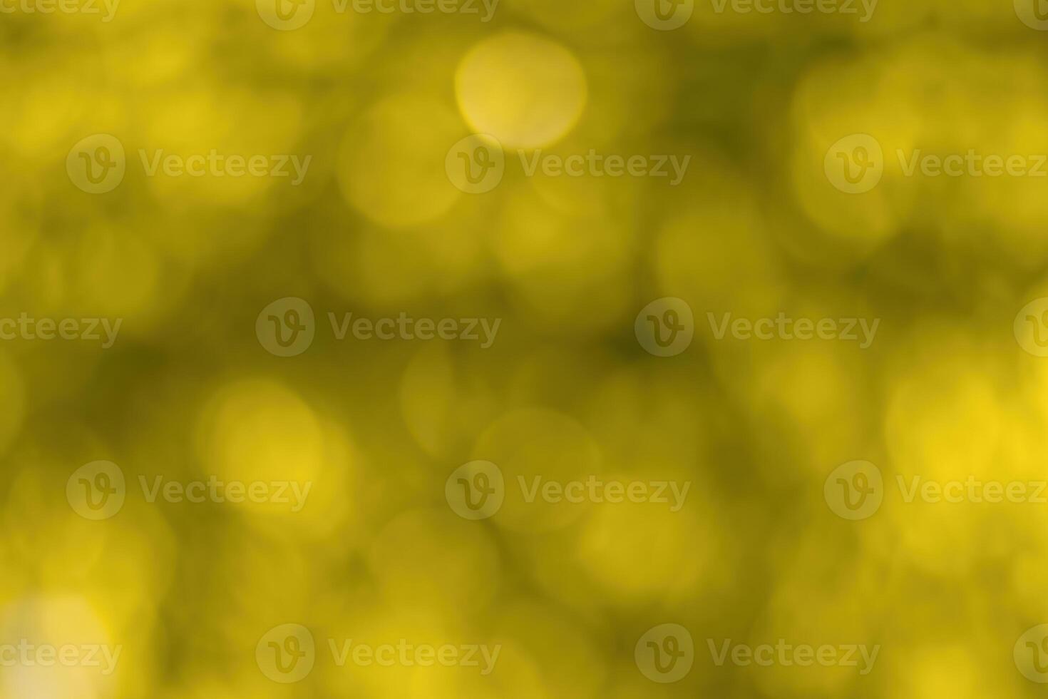 Blurred bokeh background image of bright yellow foliage in golden autumn. photo
