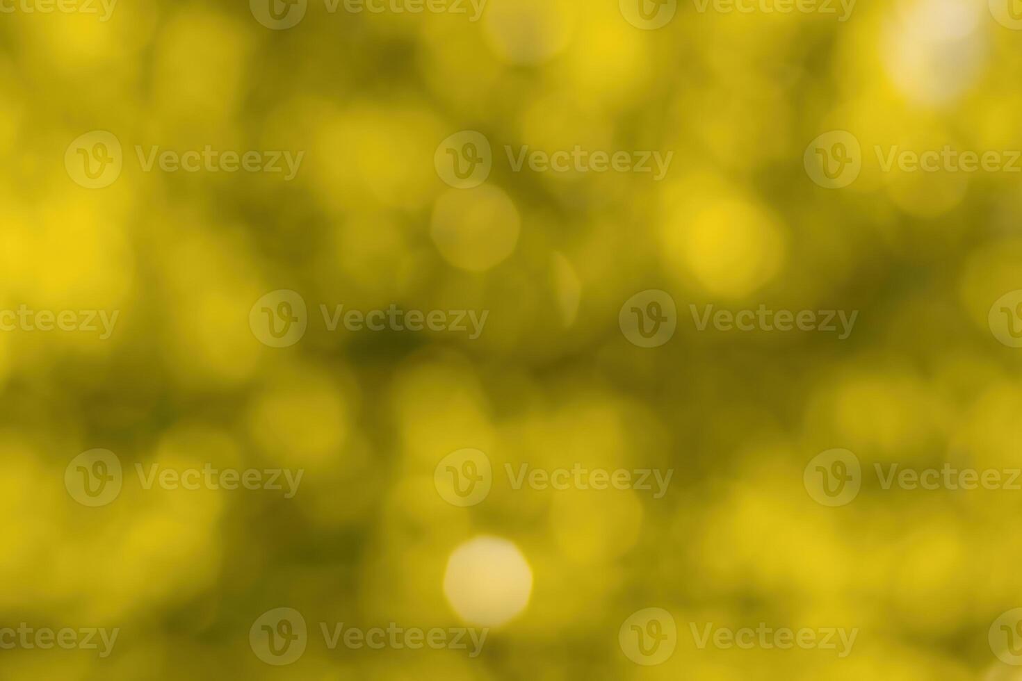 Blurred bokeh background image of bright yellow foliage in golden autumn. photo