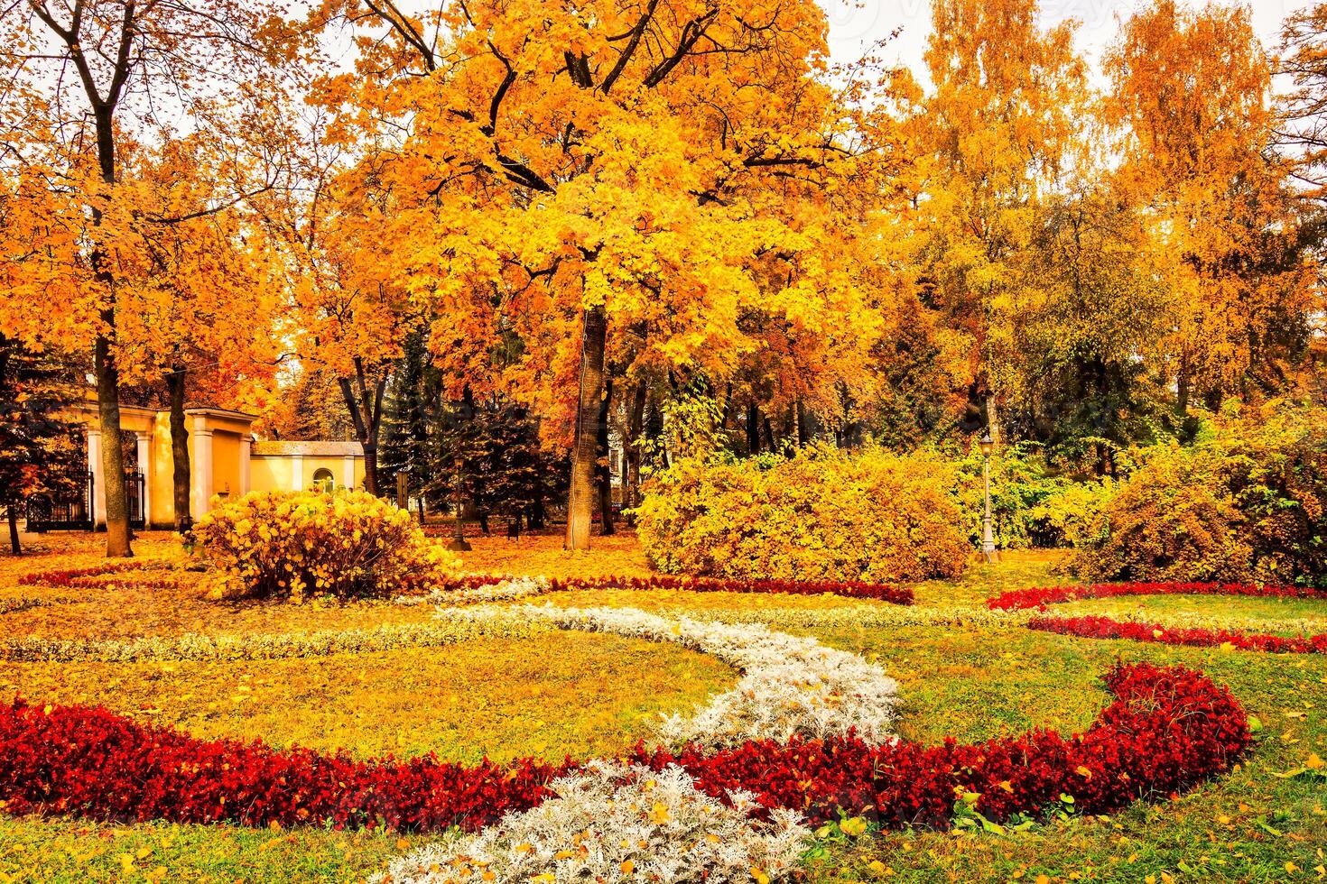 Golden autumn in a city park with trees and fallen leaves on a cloudy day. photo
