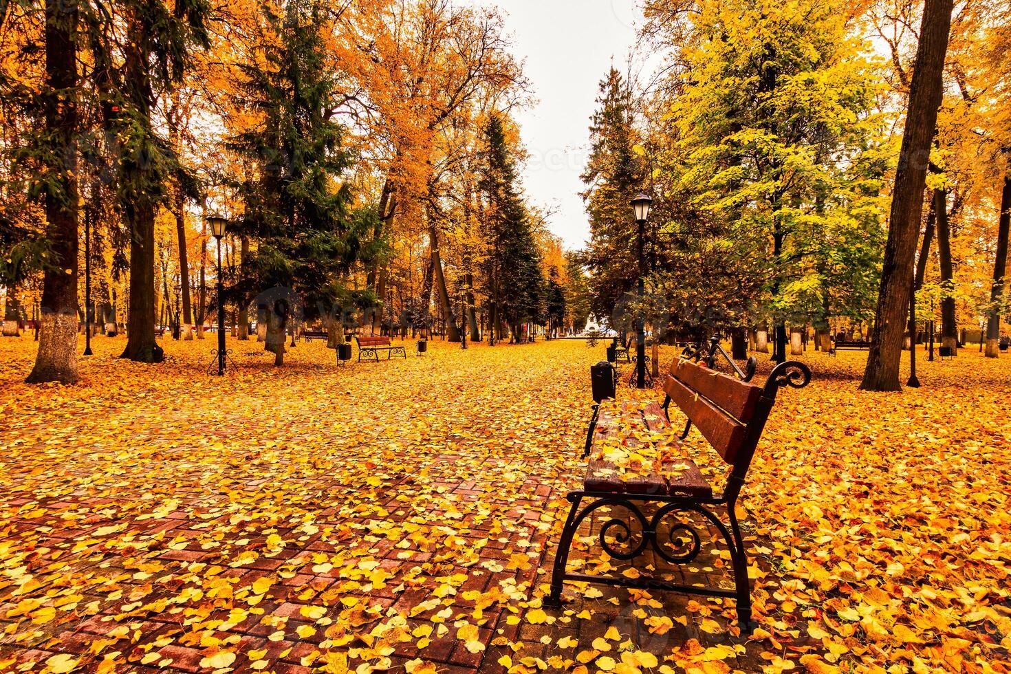Golden autumn in a city park with trees and fallen leaves on a cloudy day. photo
