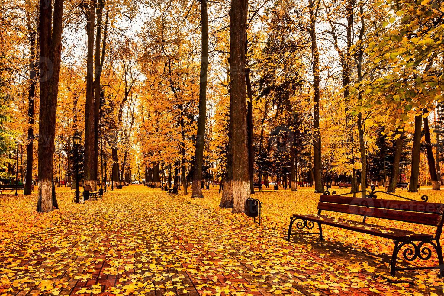 Golden autumn in a city park with trees and fallen leaves on a cloudy day. photo